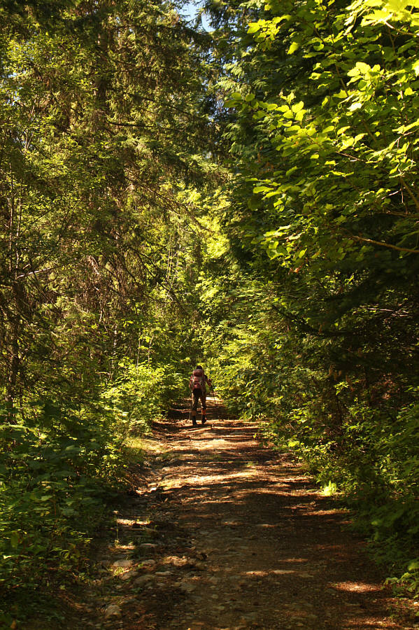 The shade from the trees was very welcome!