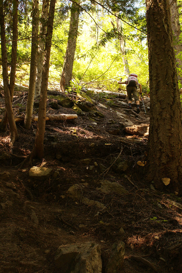 Didn't the trail builders believe in switchbacks??