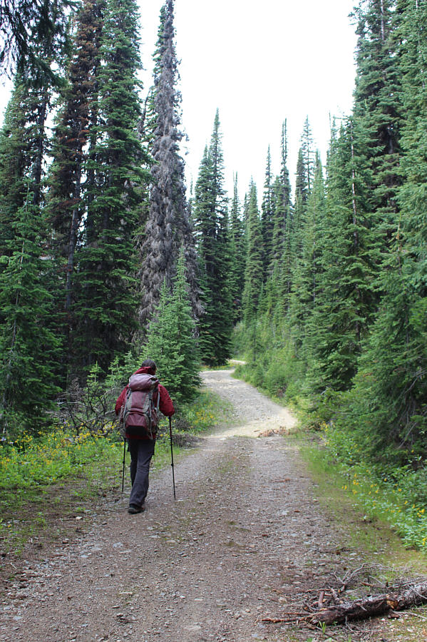 We weren't sure how far we had to walk up the road at this point!