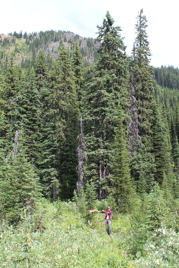 Whew! We were almost ready to bushwhack at this point!