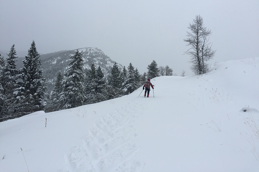 Still felt a few rocks under the deep snow here!