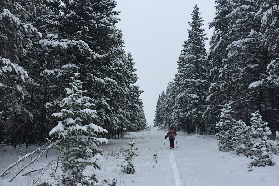 Now that's more like it!