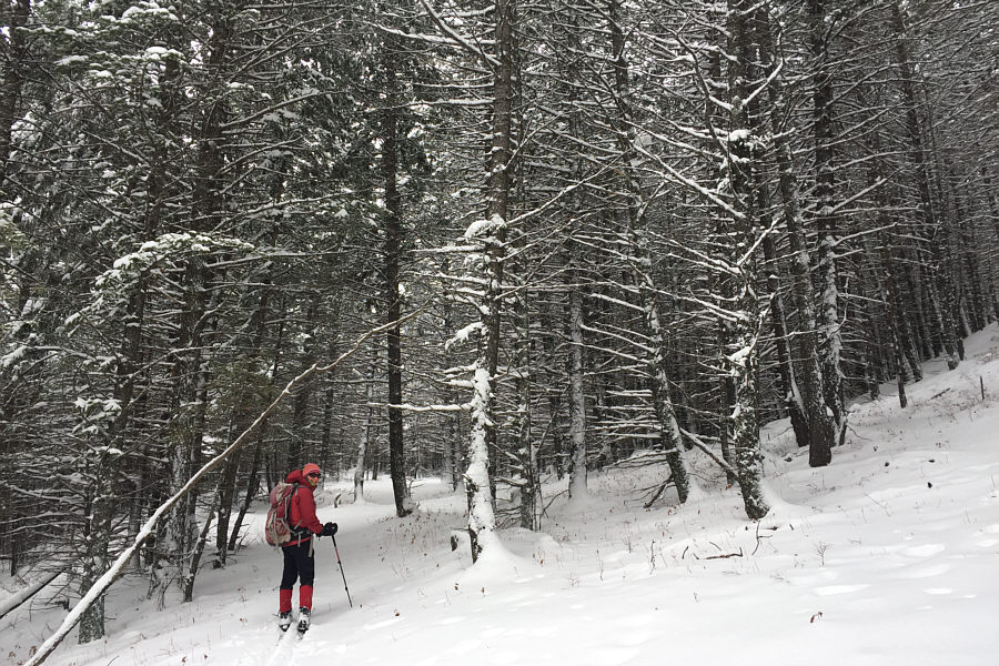 Still good skiing here.