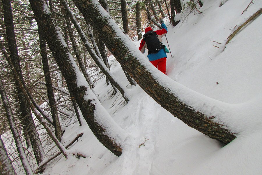 Why can't things ever be simple?