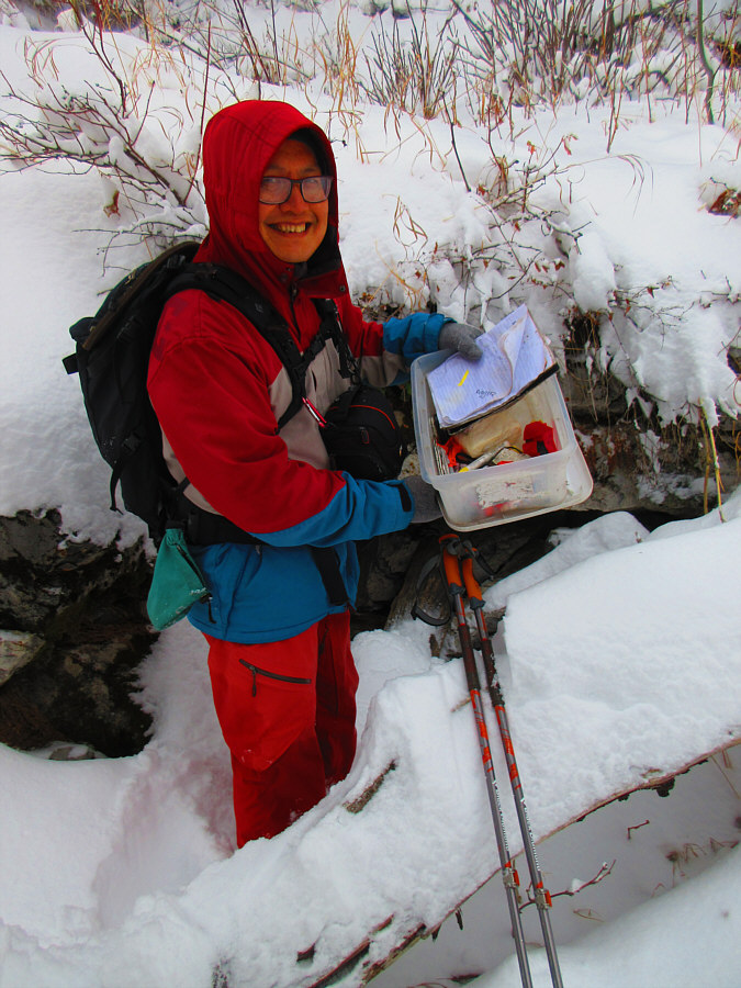 It's amazing how many of these I find without even trying!