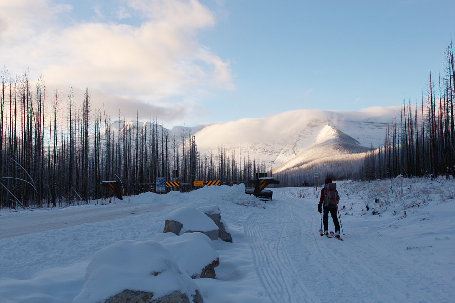 I believe this gate is designed to prevent drunken yahoos from getting to Cameron Lake!