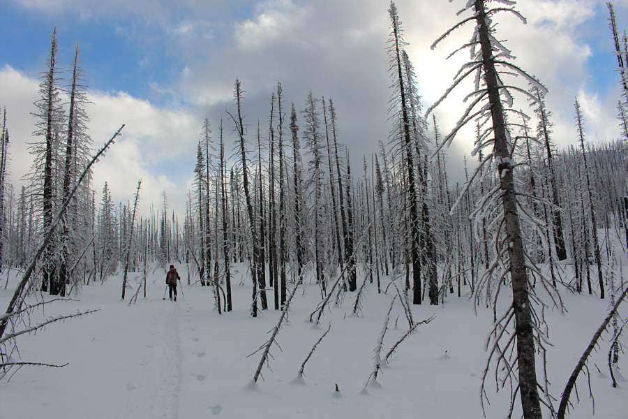 Back to more pleasant ski touring!