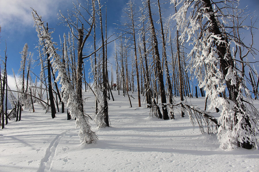 So nice to see the sun again if only for a short time.