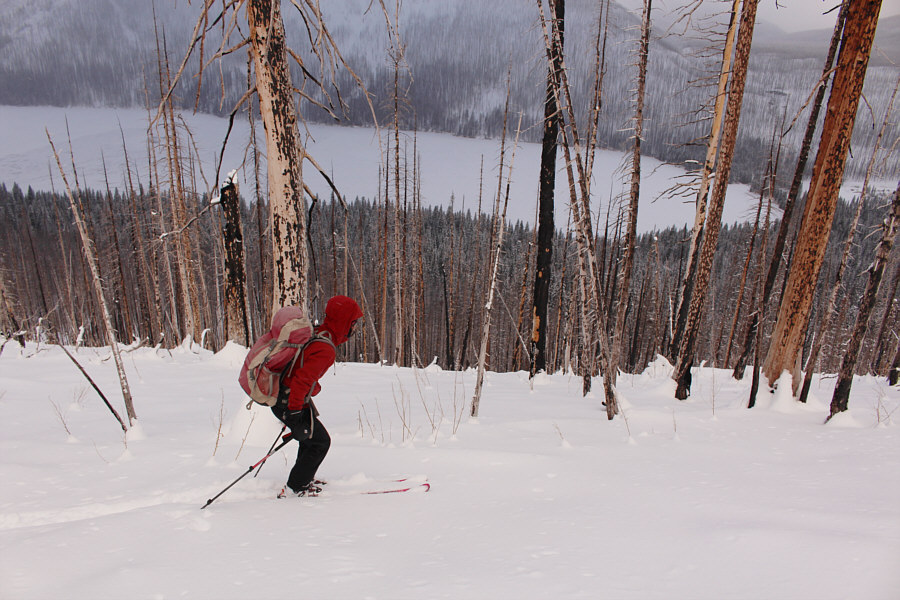 Walking downhill here might have been easier!