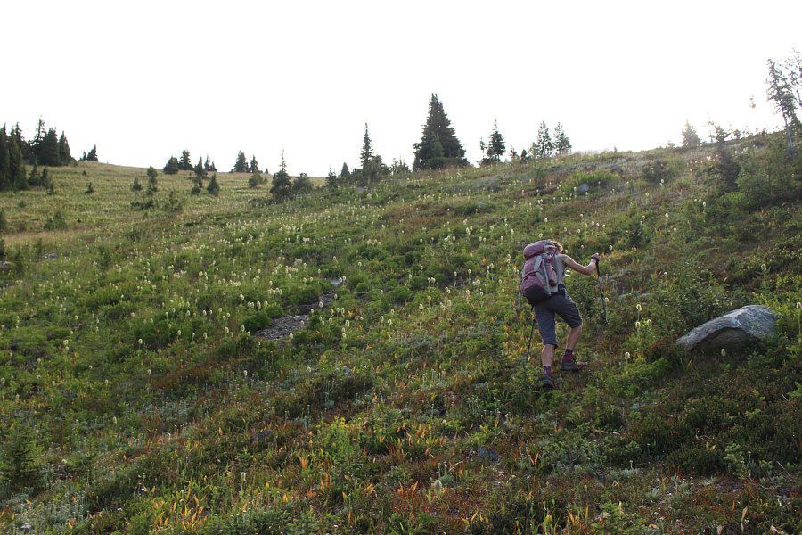 One of those put-your-head-down-and-just-keep-pumping-your-legs type slopes!