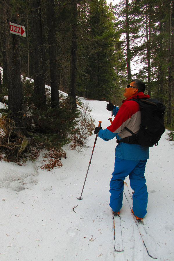 Secret hotel in the forest?