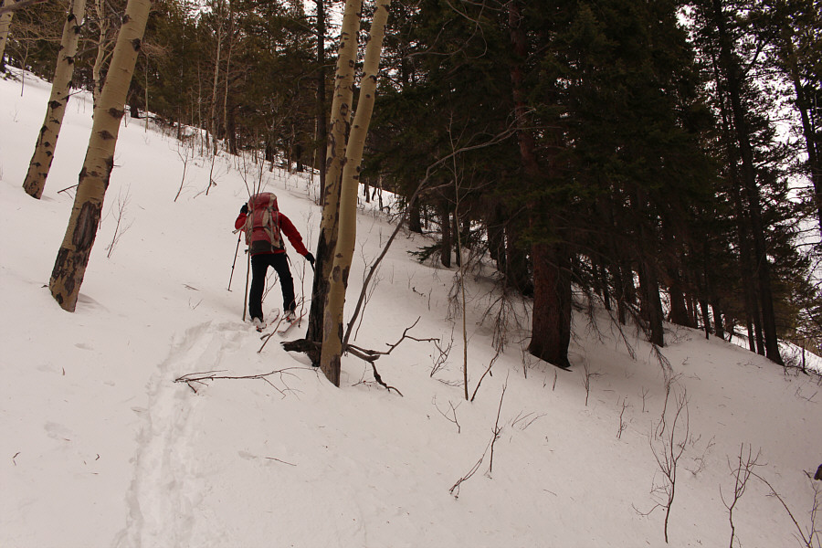 Climbing up Trail Hill the hard way!
