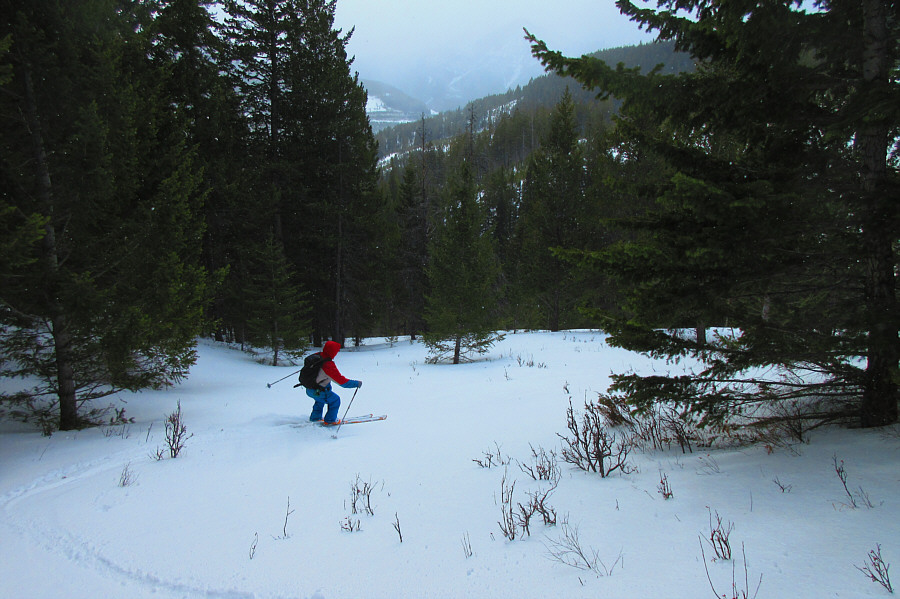 This should have been more enjoyable to ski than it really was!