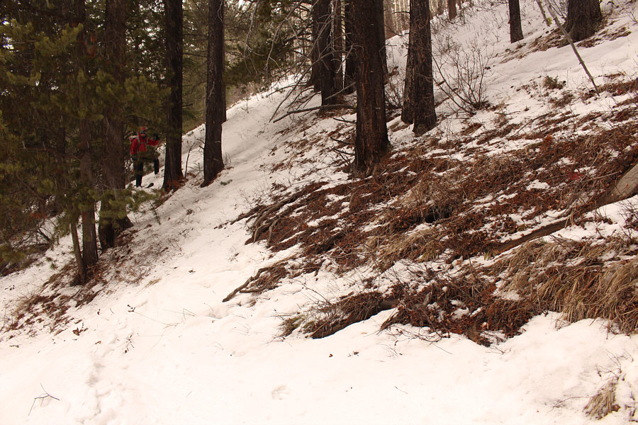 Survival skiing time!