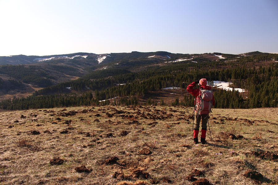 Holy cow dung, Batman! I think we just stumbled onto the Shitting Field!