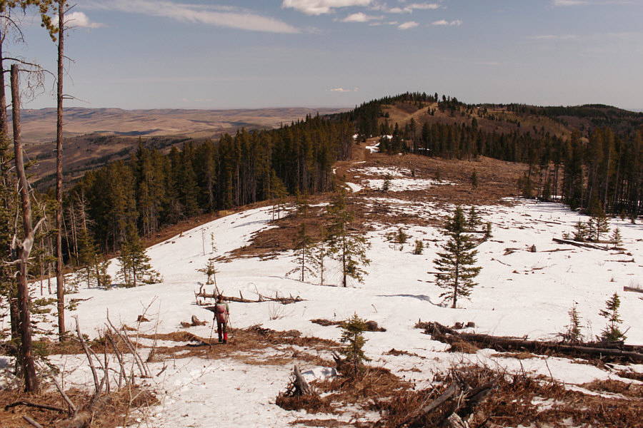 It doesn't look like much, but that snow is really deep!