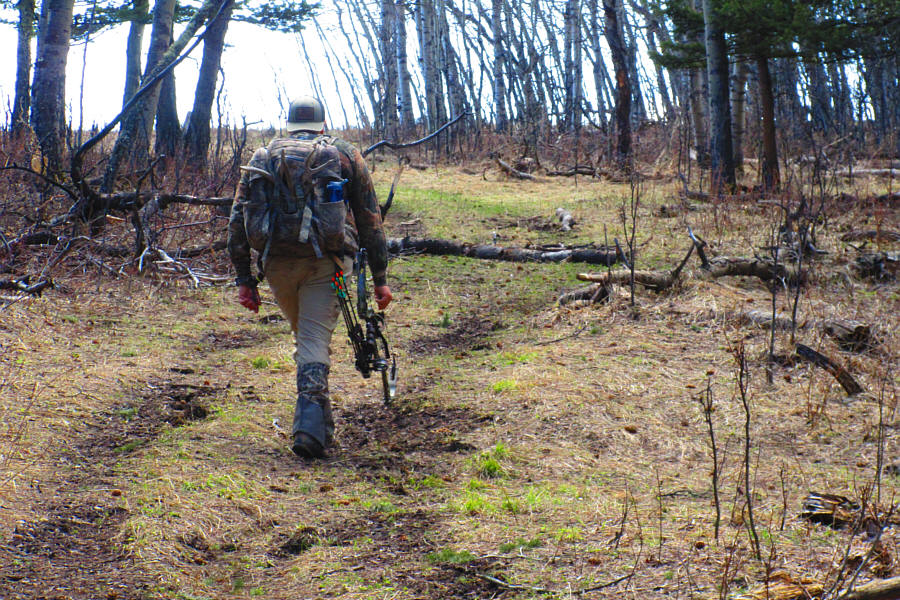It's Man versus Bear!