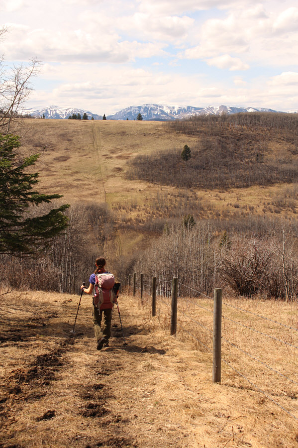 The worst part is trying to avoid all the cow shit along the fence!