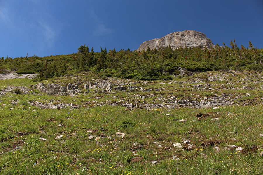 It's like finding your way through an uphill maze!