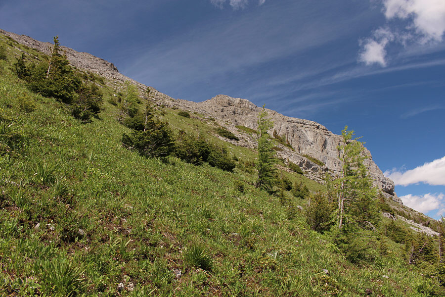 It's a steep grunt. Ugh.