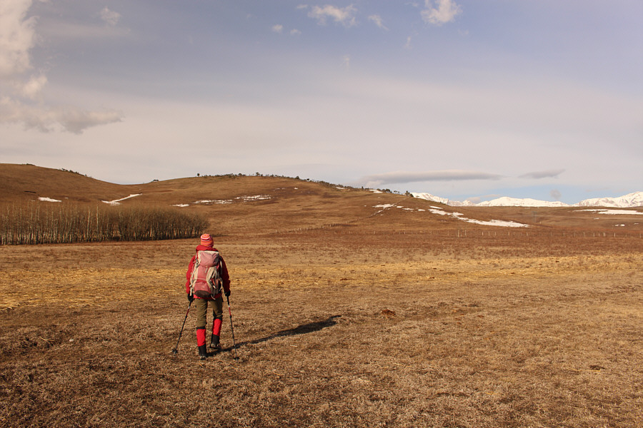 It's hard to see in the photo, but there is already a lot of cow shit everywhere!