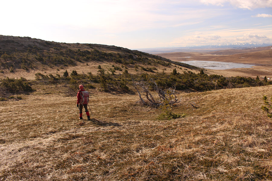 Only easy, pleasant hiking here.