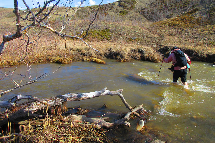 The hardest part is trying to avoid stepping in cow dung on the shore with your bare feet!