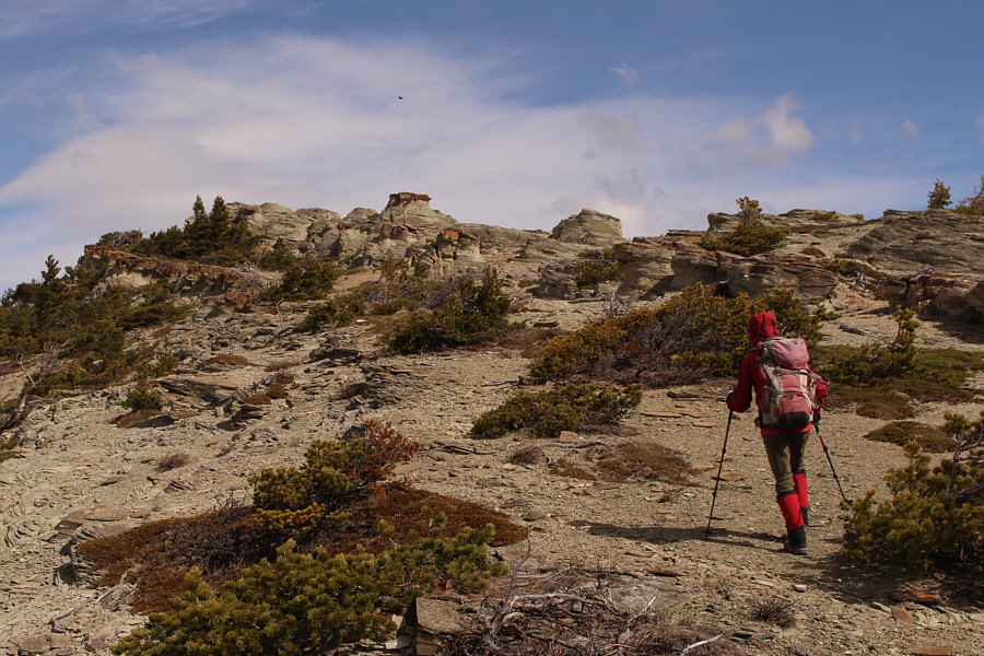 My mom calls them, "Too-hoos"!