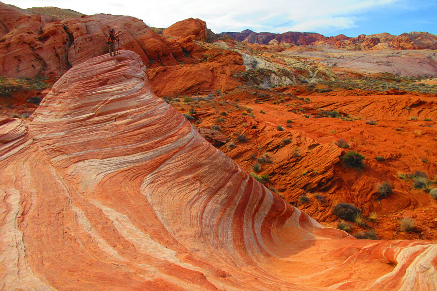 Looks like orange swirl ice cream! Mmmmm!