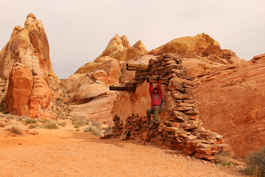 Just monkeying around!