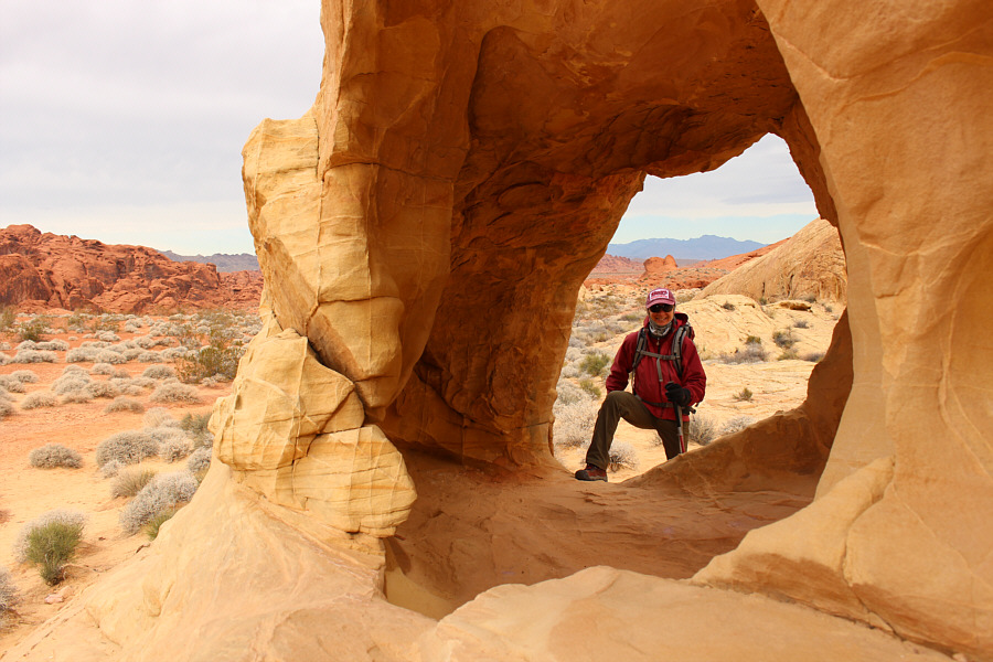 More fun than an amusement park!