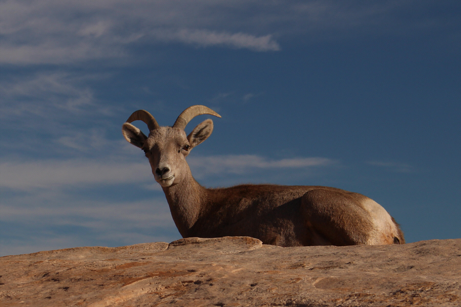 Uh, that would be us!