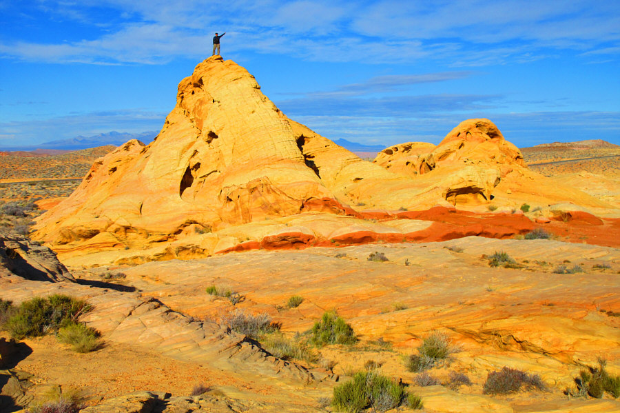 So close to the road...and yet, there's nobody else here!