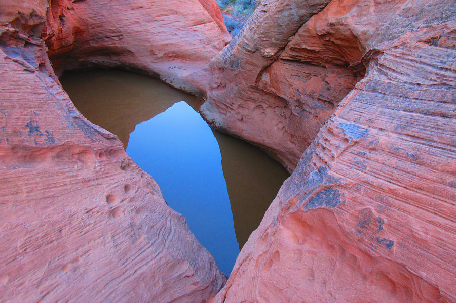 It's barely big enough for a mouse!