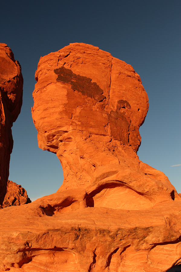 Perhaps one of the sisters?