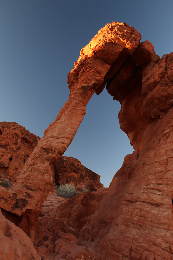 There was a woman sitting behind the "trunk" when I took this photograph.