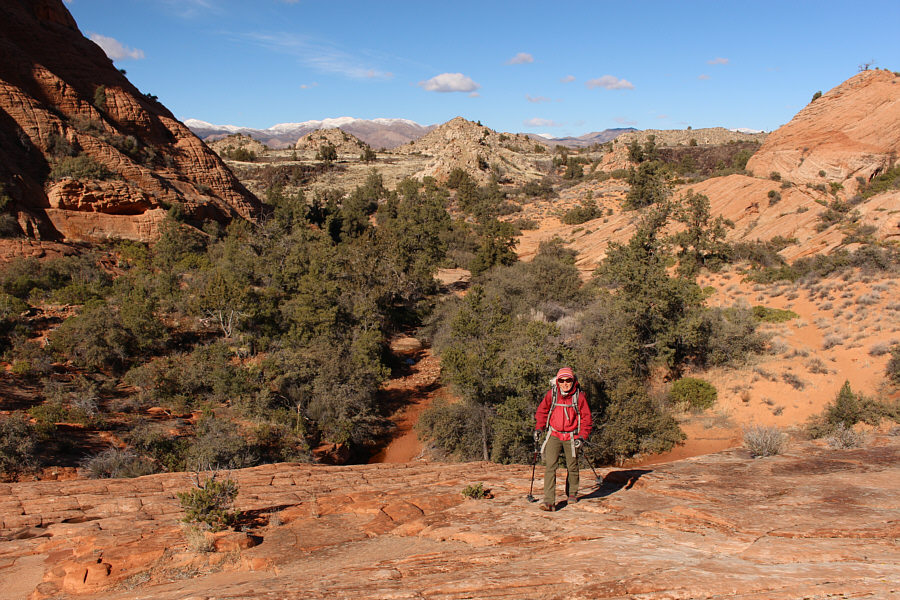 There was still a lot of uncertainty at this point about where to go.