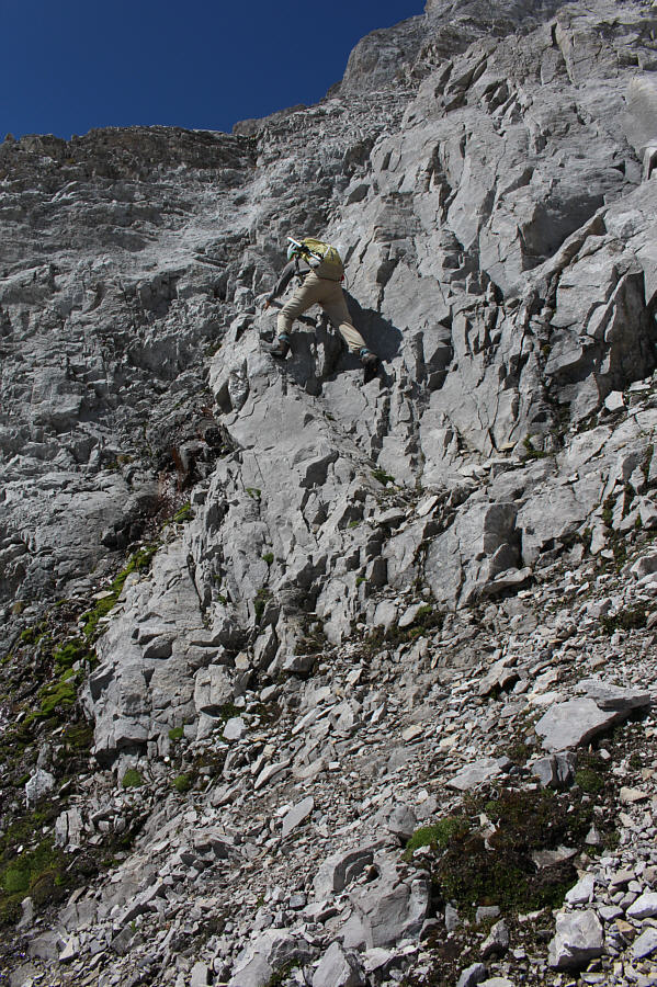 As always, check your holds!