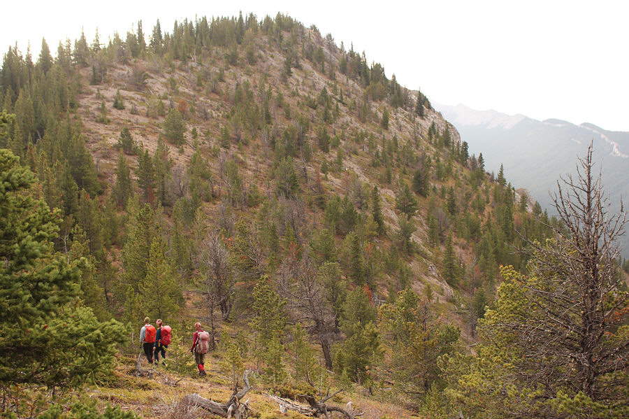 It's a strenuous climb just to get this far!