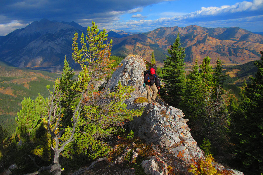 My red Yukon cap really stands out!