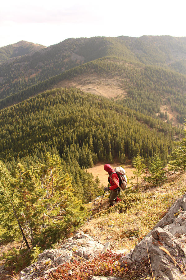 Very disheartening loss of hard-won elevation here!