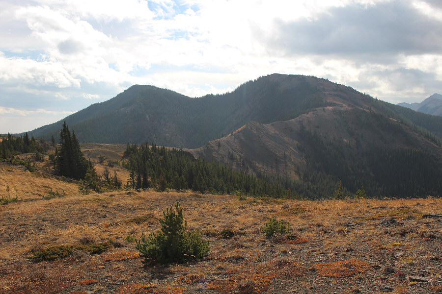 Looks easy enough...