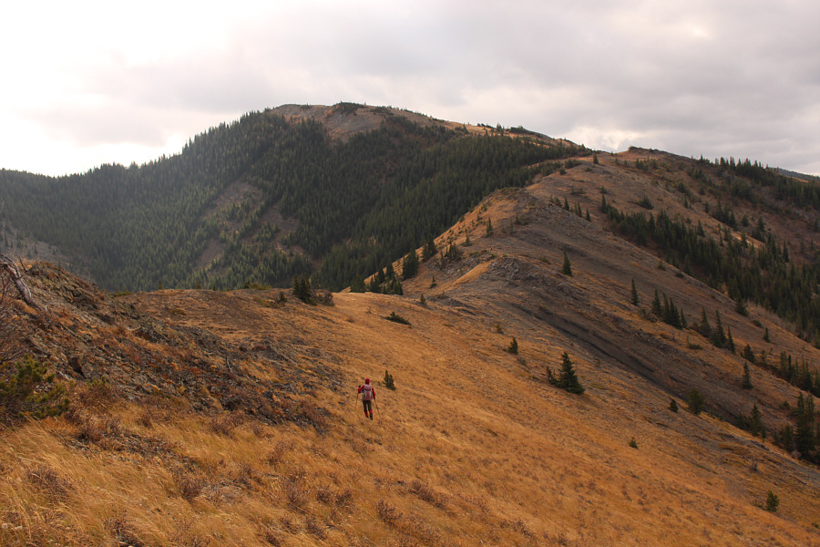 Brutal wind. Just brutal.
