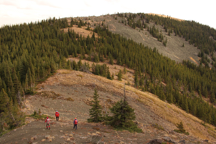 The end is in sight...I promise!