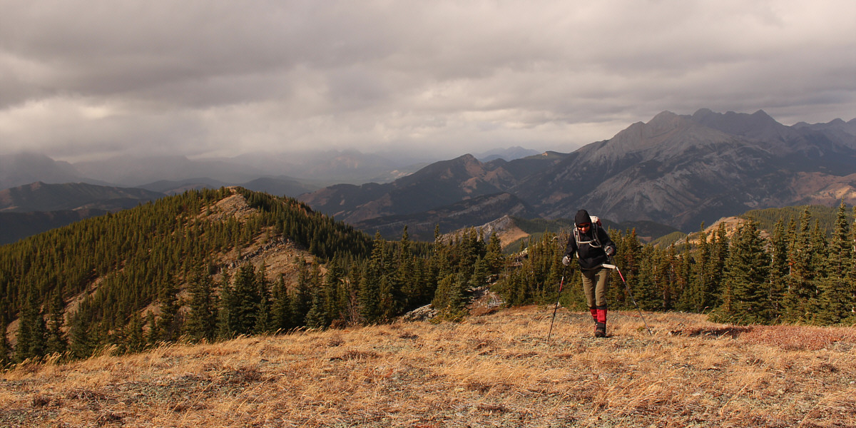 Just a few more steps...