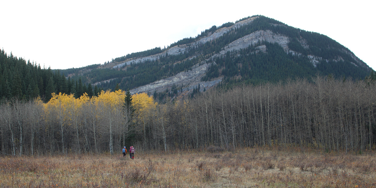 Nice splash of fall colours still in some spots.