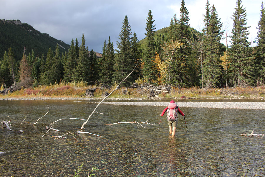 She's one tough cookie!