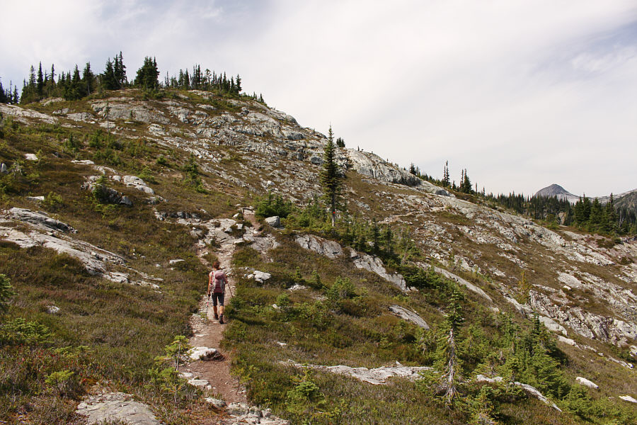 Looks promising at first...