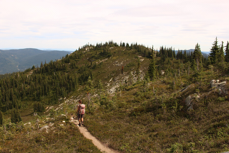 Double the disappointment!