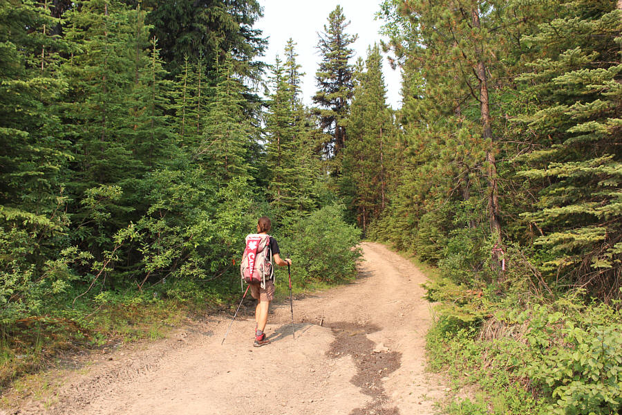 No bushwhacking means that we're doing good!